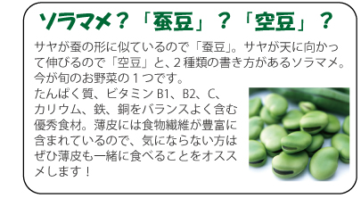 サヤが蚕の形に似ているので「蚕豆」。サヤが天に向かって伸びるので「空豆」と、２種類の書き方があるソラマメ。今が旬のお野菜の１つです。たんぱく質、ビタミンB1、B2、C、カリウム、鉄、銅をバランスよく含む優秀食材。薄皮には食物繊維が豊富に含まれているので、気にならない方はぜひ薄皮も一緒に食べることをオススメします！