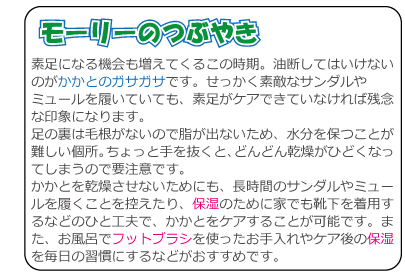 モーリーのつぶやき　素足になる機会も増えてくるこの時期。油断してはいけないのがかかとのガサガサです。せっかく素敵なサンダルやミュールを履いていても、素足がケアできていなければ残念な印象になります。足の裏は毛根がないので脂が出ないため、水分を保つことが難しい個所。ちょっと手を抜くと、どんどん乾燥がひどくなってしまうので要注意です。かかとを乾燥させないためにも、長時間のサンダルやミュールを履くことを控えたり、保湿のために家でも靴下を着用するなどのひと工夫で、かかとをケアすることが可能です。また、お風呂でフットブラシを使ったお手入れやケア後の保湿を毎日の習慣にするなどがおすすめです。