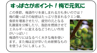 この季節、梅酒作りを楽しまれる方も多いのでは？梅の酸っぱさの秘密はたっぷり含まれるクエン酸。食欲を増進させたり、疲労の元となる乳酸菌を分解したり、脂肪を燃焼させてエネルギーに変えるなどうれしい作用がいっぱい！梅酒作りにはなるべく大きな梅を使います。また梅は足が早いため新鮮なものを使うようにしましょう。