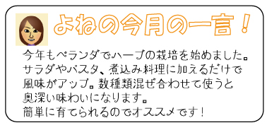 よねの今月のひと言　今年もベランダでハーブの栽培を始めました。サラダやパスタ、煮込み料理に加えるだけで風味がアップ。数種類組み合わせて使うと奥深い味わいになります。簡単に育てられるのでおすすめです。