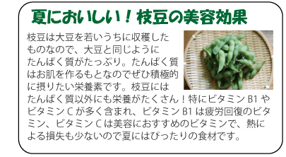 夏においしい！枝豆の美容効果　枝豆は大豆を若いうちに収穫したものなので、大豆と同じようにたんぱく質がたっぷり。たんぱく質はお肌を作るもとなのでぜひ積極的に摂りたい栄養素です。枝豆にはたんぱく質以外にも栄養がたくさん！特にビタミンB1やビタミンCが多く含まれ、ビタミンB1は疲労回復のビタミン、ビタミンCは美容におすすめのビタミンで、熱による損失も少ないので夏にはぴったりの食材です。