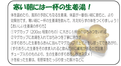 寒い朝には一杯の生姜湯！　体を温めたり、風邪の予防にもなる生姜湯。体温が一番低い朝に飲むと、より効果的です。寒い朝に一杯の生姜湯を飲んで、冷え知らずの体をつくりましょう！【おいしい生姜湯の作り方】①マグカップ（200cc程度のもの）に大さじ１杯分のはちみつをいれる②マグカップにお湯を入れてはちみつを丁寧に溶かす③すりおろした生姜をふきんに包んでマグカップの上で汁をしぼってできあがり。（すりおろした生姜をそのまま入れると飲んだ時に繊維が残るので注意！）チューブ入りのものより、生の生姜のすりおろしがオススメ！汁を絞った生姜は、冬野菜をたっぷり使った豚汁などに。