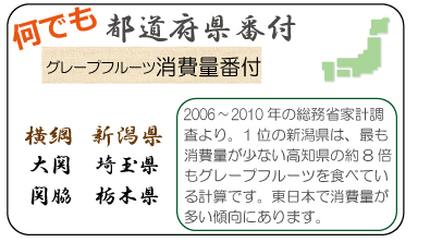 何でも都道府県番付　グレープフルーツ消費量番付　横綱　新潟県　大関　埼玉県　関脇　栃木県　2006～2010年の総務省家計調査より。1位の新潟県は、最も消費量が少ない高知県の約8倍もグレープフルーツを食べている計算です。東日本で消費量が多い傾向にあります。