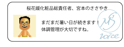 桜花媛化粧品総責任者、宮本のささやき　まだまだ暑い日が続きます！体調管理が大切ですね。