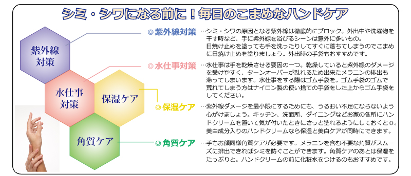 シミ・シワになる前に！毎日のこまめなハンドケア　◎紫外線対策・・・シミ・シワの原因となる紫外線は徹底的にブロック。外出中や洗濯物を干す時など、手に紫外線を浴びるシーンは意外に多いもの。日焼け止めを塗っても手を洗ったりしてすぐに落ちてしまうのでこまめに日焼け止めを塗りましょう。外出時の手袋もおすすめです。◎水仕事対策・・・水仕事は手を乾燥させる要因の一つ。乾燥していると紫外線のダメージを受けやすく、ターンオーバーが乱れるため出来たメラニンの排出も滞ってしまいます。水仕事をする際はゴム手袋を。ゴム手袋のゴムで荒れてしまう方はナイロン製の使い捨ての手袋をした上からゴム手袋をしてください。◎保湿ケア・・・紫外線ダメージを最小限にするためにも、うるおい不足にならないよう心がけましょう。キッチン、洗面所、ダイニングなどお家の各所にハンドクリームを置いて気が付いたときにさっと塗れるようにしておくと◎。美白成分入りのハンドクリームなら保湿と美白ケアが同時にできます。◎角質ケア・・・手もお顔同様角質ケアが必要です。メラニンを含む不要な角質がスムーズに排出できればシミを防ぐことができます。角質ケアのあとは保湿をたっぷりと。ハンドクリームの前に化粧水をつけるのもおすすめです。